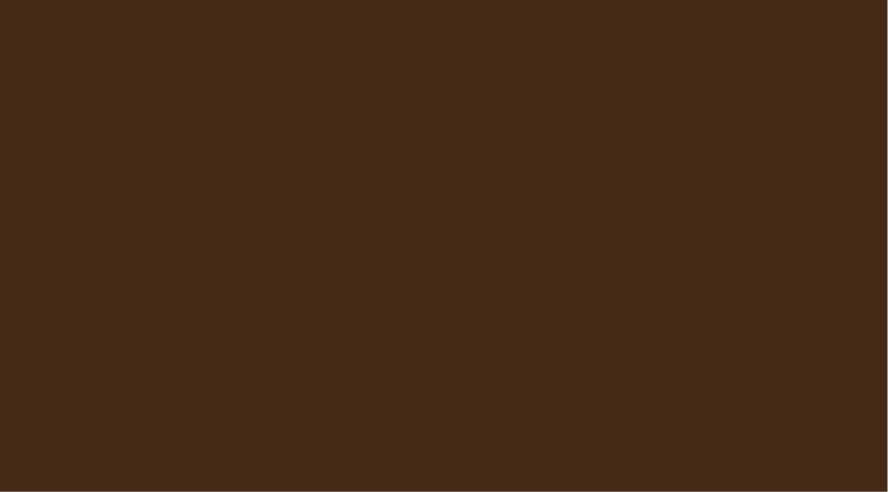 Chestnut Paint Swatch