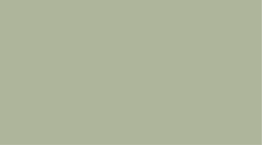 Sage paint swatch