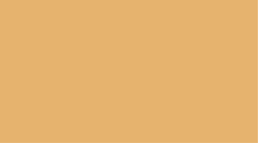 Golden Wheat Paint Swatch